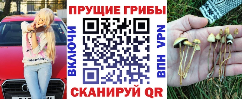 Псилоцибиновые грибы Psilocybine cubensis  Купить где  Избербаш 